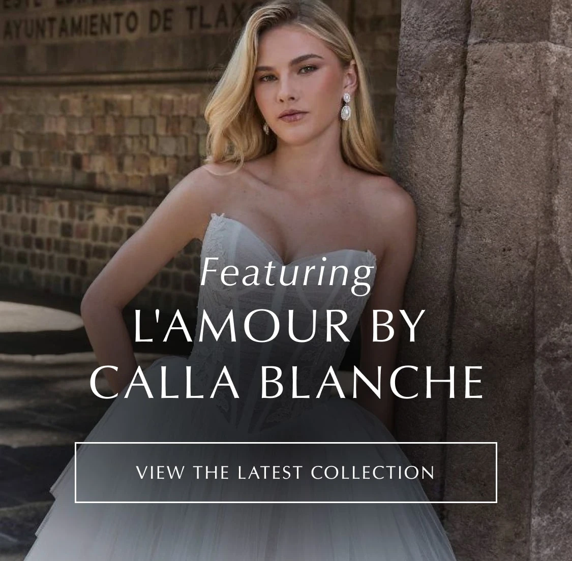 A model wearing L'Amour by Calla Blanche LA25264 gown, mobile banner