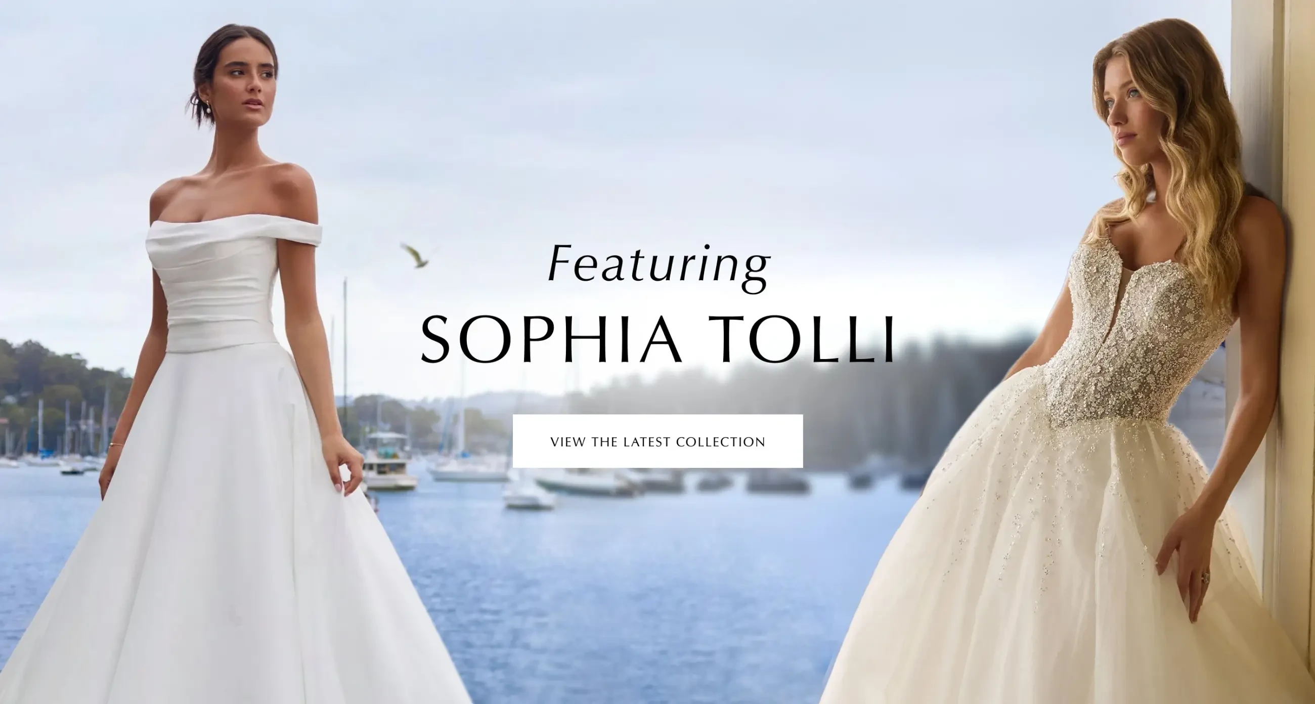 Sophia Tolli Desktop